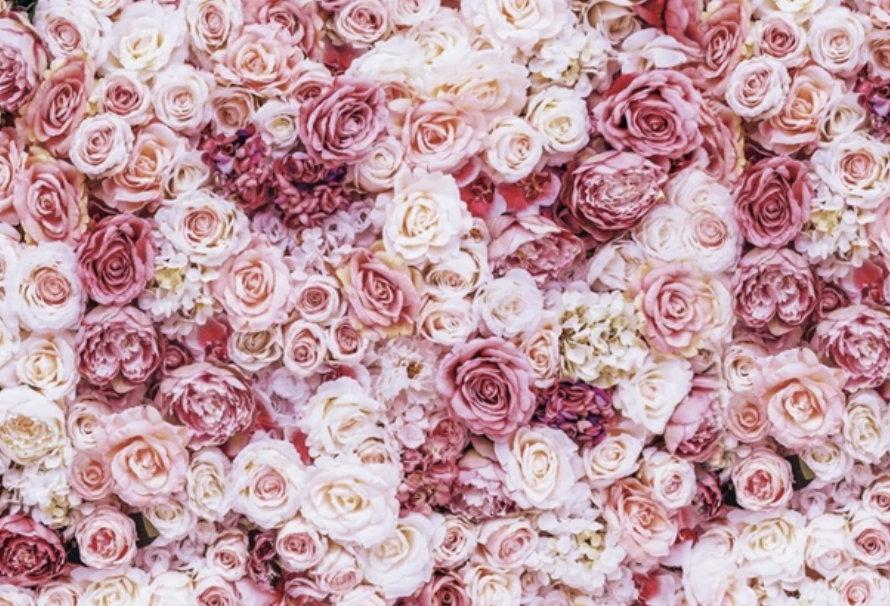 fotobudka pozadie ruze